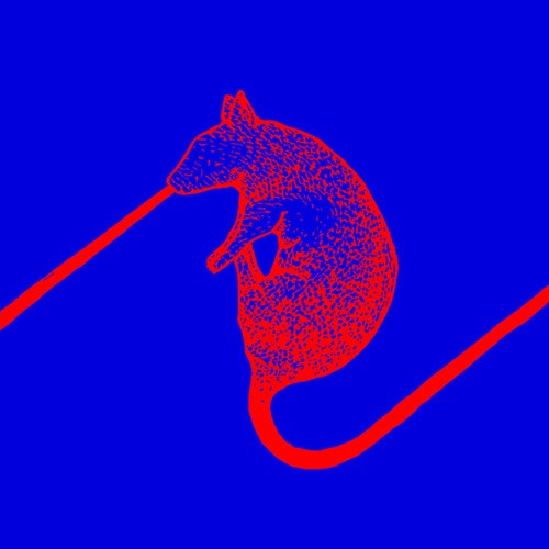 Dwarfs Of East Agouza - Rats Don't Eat Synthesizers
