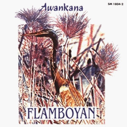 Awankana - Flamboyan