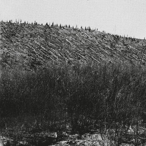 Pina - Lärm