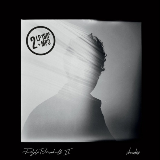 Doyle Bramhall Ii - Shades