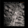 Gregg Bendian - Bone Structure Gregg Bendian - Bone Structure