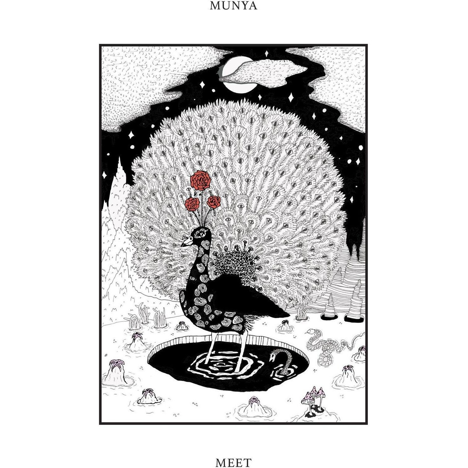 MUNYA - Meet