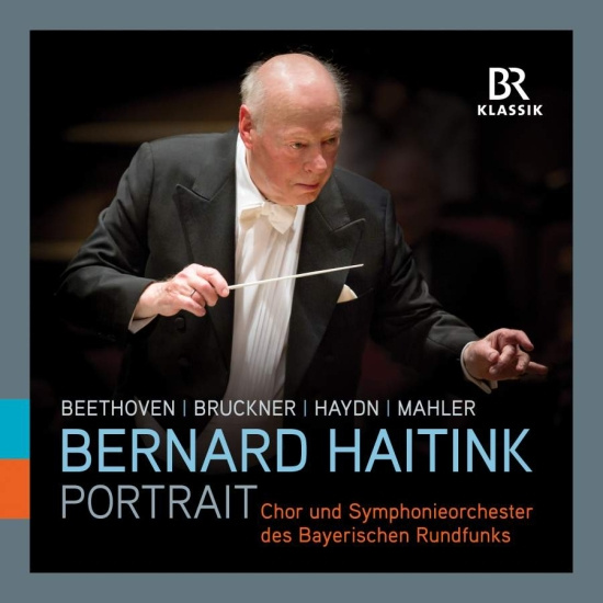 Beethoven Ludwig Van Bruckner An - Haitink: Portrait (10 Cd)