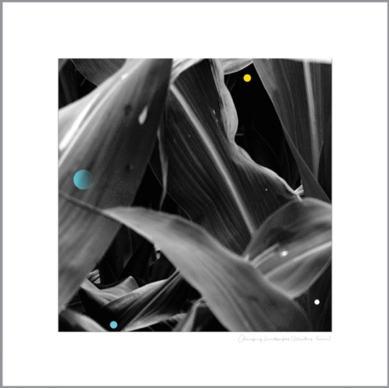 King Arthur - Changing Landscapes