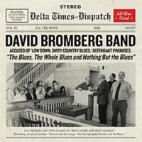 David Bromberg - Blues The Whole Blues And Nothing B