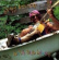 Greg Brown - Bathtub Blues Greg Brown - Bathtub Blues