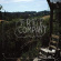 Boy Scouts - Free Company Boy Scouts - Free Company