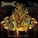 Coffins - Beyond The Circular Demise Coffins - Beyond The Circular Demise