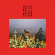 Bonnie 'Prince' Billy - I Made A Place Bonnie 'Prince' Billy - I Made A Place