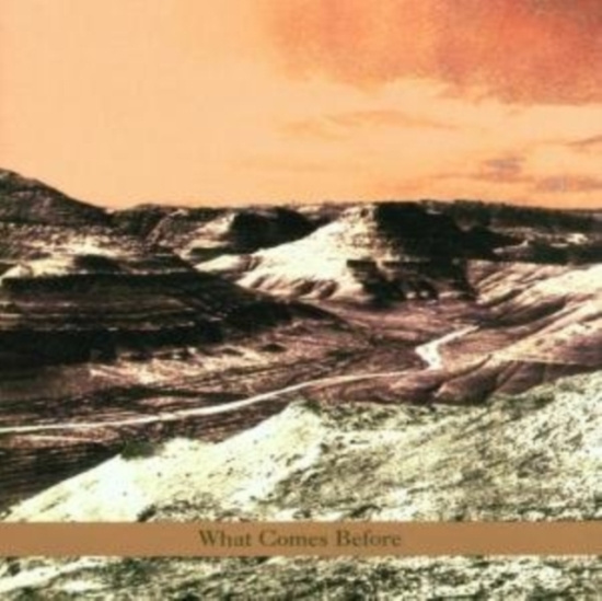 Goldberg / Schott / Sarin Trio - What Comes Before