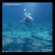 Tenderlonius - On Flute Tenderlonius - On Flute