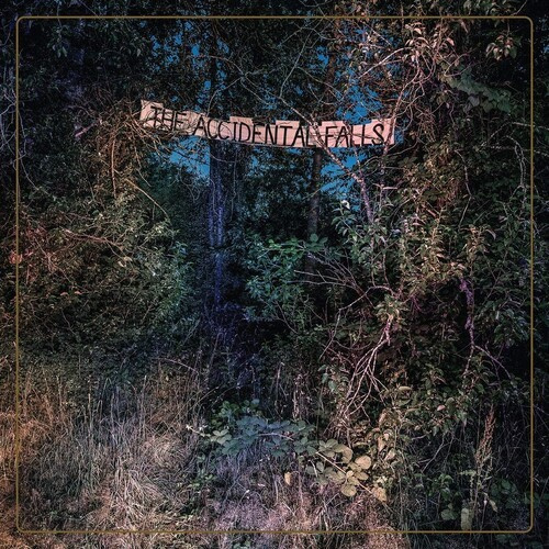 Eyelids - Accidental Falls