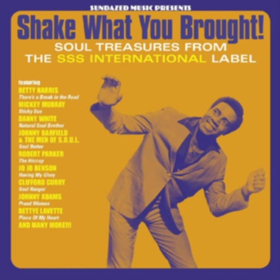 Blandade Artister - Shake What You Brought! Soul Treasu