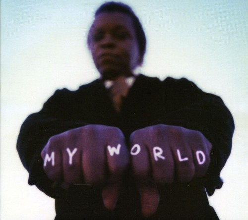 Fields Lee And The Expressions - My World