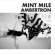 Mint Mile - Ambertron Mint Mile - Ambertron