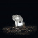 Vanishing Life - Surveillance Vanishing Life - Surveillance