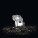 Vanishing Life - Surveillance Vanishing Life - Surveillance