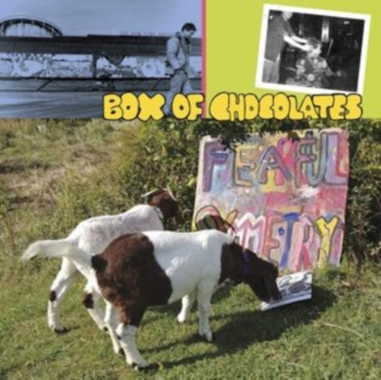 Box Of Chocolates - Fearful Symmetry