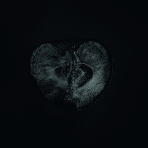 Sektori Sadon & Treha - Symphony Of Dying