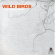 Kvinge & Rognlien - Wild Birds Kvinge & Rognlien - Wild Birds