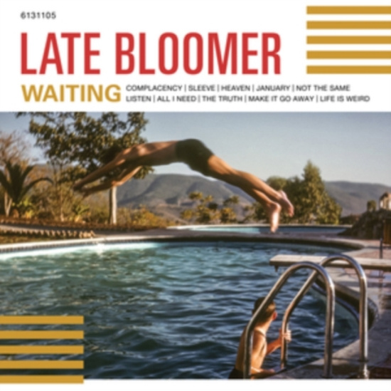 Late Bloomer - Waiting