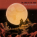 Room In The Wood - We're The Martians Now Room In The Wood - We're The Martians Now
