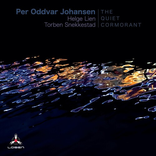 Johansen Per Oddvar - Quiet Cormorant