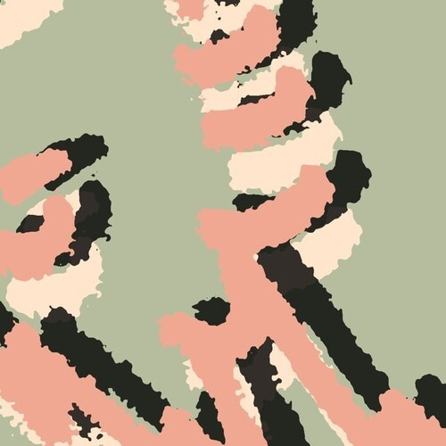 Shielding - Collecting Seaweed Ep
