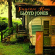 Jones Lloyd - Tennessee Run Jones Lloyd - Tennessee Run