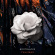 Bootblacks - Thin Skies Bootblacks - Thin Skies