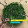 Parallel Dialog - Nanotree Parallel Dialog - Nanotree