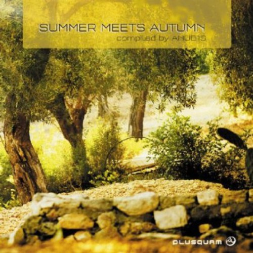V/A - Summer Meets Autumn