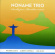 Noname Trio - Samba Jazz - Brazilian Music