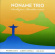 Noname Trio - Samba Jazz - Brazilian Music Noname Trio - Samba Jazz - Brazilian Music