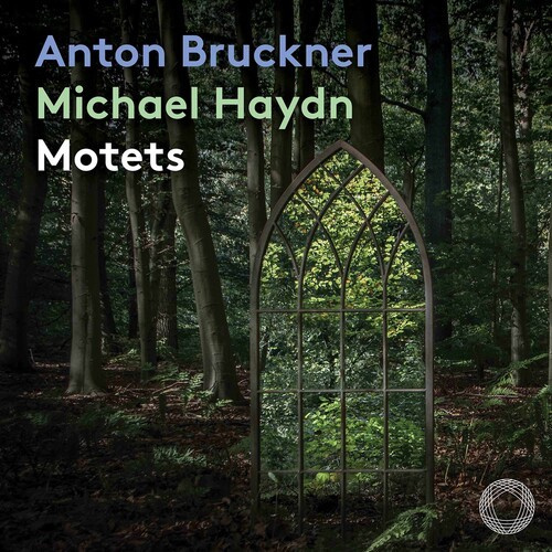 Bruckner Anton Haydn Johann Mich - Motets
