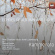 Bronnimann Markus Kerger Camille - Echoes Of Autumn & Light - New Cham Bronnimann Markus Kerger Camille - Echoes Of Autumn & Light - New Cham