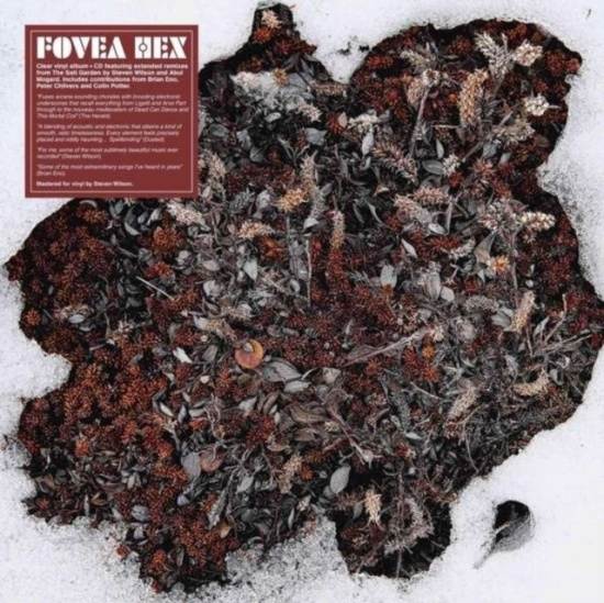 FOVEA HEX - SALT GARDEN - LANDSCAPED (LP+CD)