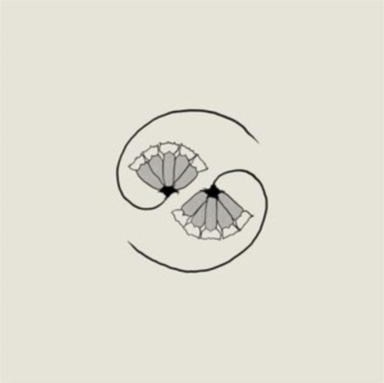 Godspeed You! Black Emperor - G_D's Pee At State's End! (Lp+10'')