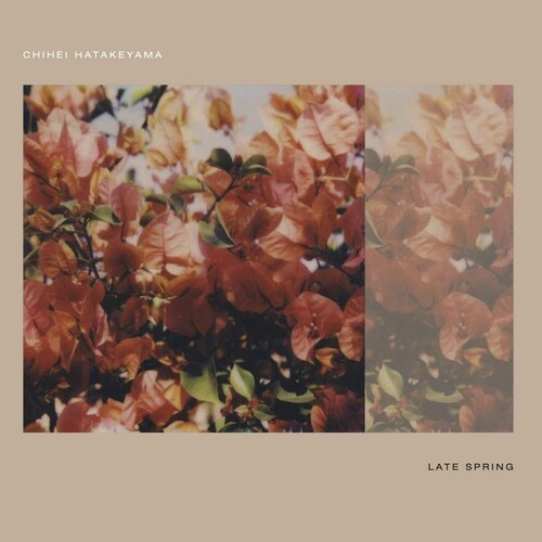 Hatakeyama Chihei - Late Spring