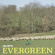 Calcutta - Evergreen Calcutta - Evergreen