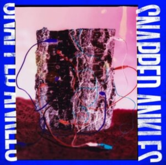 Snapped Ankles - Forest Of Your Problems (The Busine