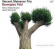 Vincent Meissner Trio - Bewegtes Feld Vincent Meissner Trio - Bewegtes Feld