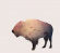 Phoenix Foundation - Buffalo Phoenix Foundation - Buffalo