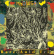 Knowso - Rare Auld Trip / Psychological Gard Knowso - Rare Auld Trip / Psychological Gard