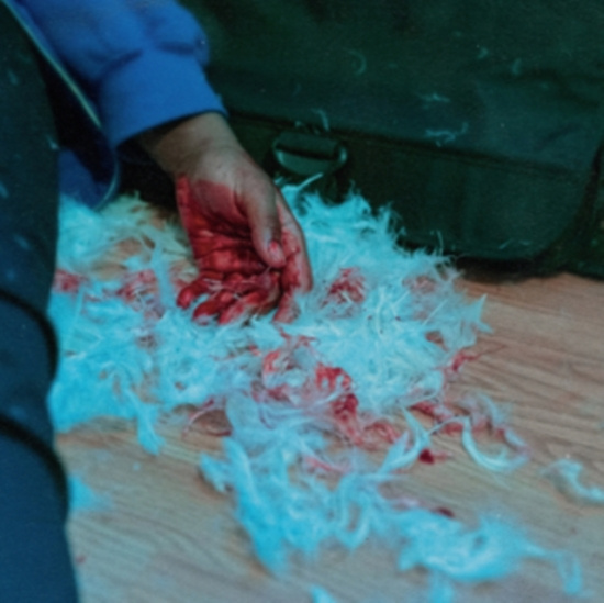 Kaonashi - Dear Lemon House, You Ruined Me: Se