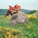 Joakim - Second Nature Joakim - Second Nature