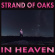 Strand Of Oaks - In Heaven Strand Of Oaks - In Heaven