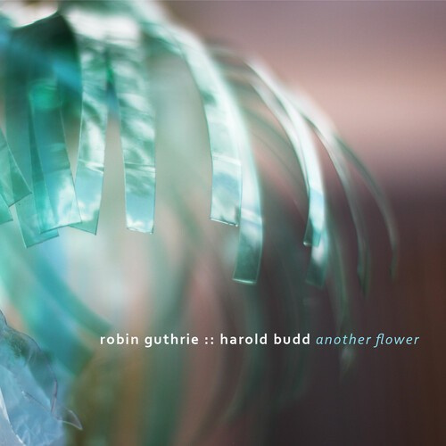 GUTHRIEROBIN / BUDDHAROLD - Another Flower