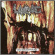 Larvae - Vile Maggot Feast Larvae - Vile Maggot Feast