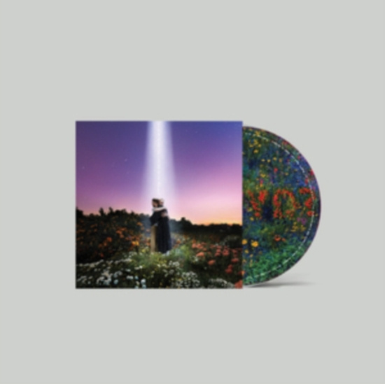 Honne - Let S Just Say The World Ended